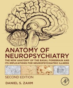 Anatomy of Neuropsychiatry: The New Anatomy of the Basal Forebrain and Its Implications for Neuropsychiatric Illness, 2nd Edition (EPUB)