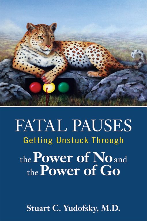 Fatal Pauses: Getting Unstuck Through the Power of No and the Power of Go (PDF)