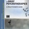 The Art and Science of Brief Psychotherapies: An Illustrated Guide, 3rd Edition (PDF)