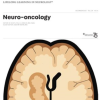 The Human Brain during the Third Trimester 310– to 350–mm Crown-Rump Lengths: Atlas of Central Nervous System Development, Volume 13 (Atlas of Central Nervous System Development, 13) (PDF)