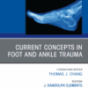 Clinics in Podiatric Medicine and Surgery PDF