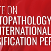 Update On Hematopathology Classification: The International Consensus Classification Perspective 2023