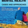 Practical Strategies in Geriatric Mental Health: Cases and Approaches (EPUB)