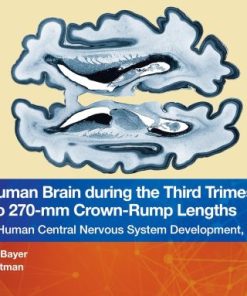 The Human Brain during the Third Trimester 260– to 270–mm Crown-Rump Lengths: Atlas of Central Nervous System Development, Volume 12 (Atlas of Central Nervous System Development, 12) (PDF)