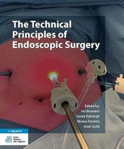 The Technical Principles Of Endoscopic Surgery (EPUB)