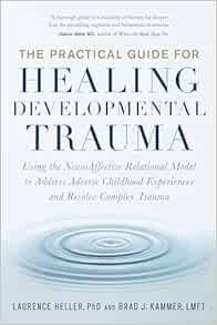 The Practical Guide For Healing Developmental Trauma: Using The NeuroAffective Relational Model To Address Adverse Childhood Experiences And Resolve Complex Trauma (EPUB)