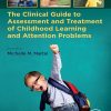 The Clinical Guide to Assessment and Treatment of Childhood Learning and Attention Problems (EPUB)