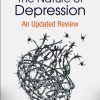 Neural Engineering Techniques For Autism Spectrum Disorder, Volume 1: Imaging And Signal Analysis (EPUB)