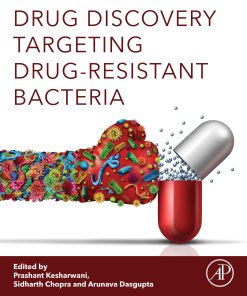 Drug Discovery Targeting Drug-Resistant Bacteria (EPUB)