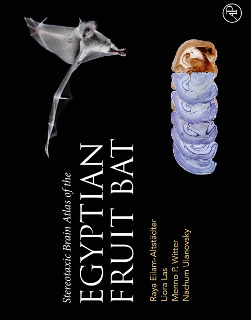 Stereotaxic Brain Atlas of the Egyptian Fruit Bat (EPUB)