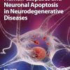 Human Caspases And Neuronal Apoptosis In Neurodegenerative Diseases (EPUB)