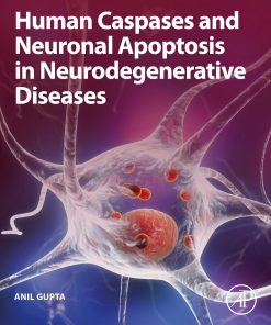 Human Caspases And Neuronal Apoptosis In Neurodegenerative Diseases (EPUB)