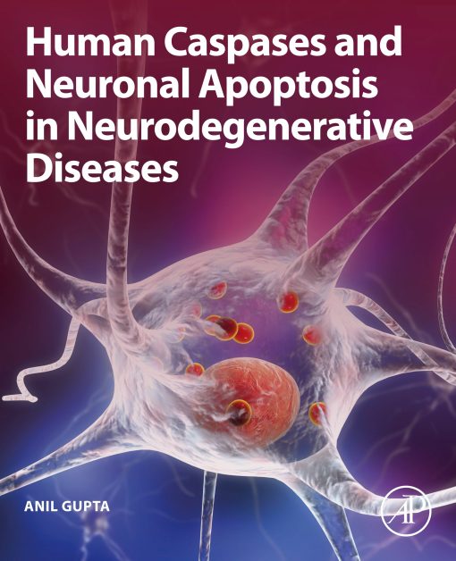 Human Caspases And Neuronal Apoptosis In Neurodegenerative Diseases (EPUB)