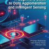 A Beginner’s Guide to Data Agglomeration and Intelligent Sensing (EPUB)