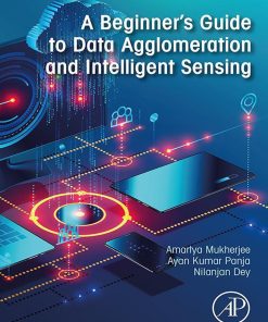 A Beginner’s Guide to Data Agglomeration and Intelligent Sensing (PDF)