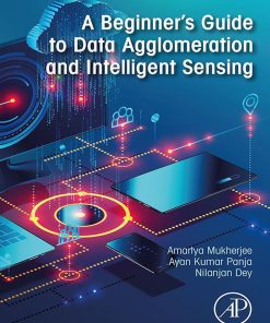 A Beginner’s Guide to Data Agglomeration and Intelligent Sensing (EPUB)