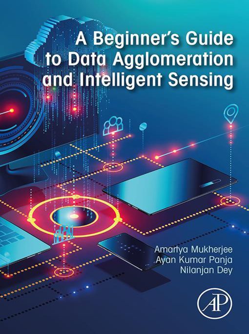 A Beginner’s Guide to Data Agglomeration and Intelligent Sensing (EPUB)