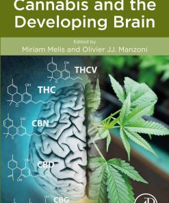 Cannabis and the Developing Brain (EPUB)