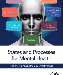 States and Processes for Mental Health: Advancing Psychotherapy Effectiveness (EPUB)