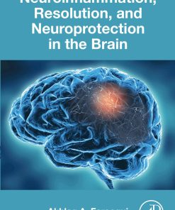 Neuroinflammation, Resolution, and Neuroprotection in the Brain (EPUB)