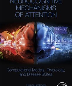 Neurocognitive Mechanisms Of Attention: Computational Models, Physiology, And Disease States (EPUB)