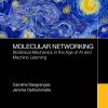 Molecular Networking: Statistical Mechanics In The Age Of AI And Machine Learning (PDF)