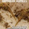 Toxicology Of Amphibian Tadpoles (EPUB)