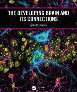 The Developing Brain And Its Connections (EPUB)