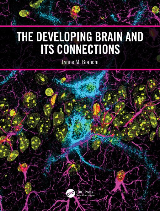 The Developing Brain And Its Connections (EPUB)