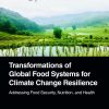 Transformations Of Global Food Systems For Climate Change Resilience: Addressing Food Security, Nutrition, And Health (EPUB)