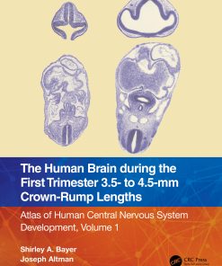 The Human Brain During The First Trimester 3.5- To 4.5-Mm Crown-Rump Lengths: Atlas Of Human Central Nervous System Development, Volume 1 (EPUB)