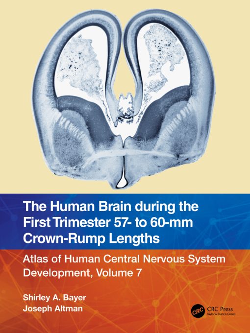 The Human Brain During The First Trimester 57- To 60-Mm Crown-Rump Lengths: Atlas Of Human Central Nervous System Development, Volume 7 (EPUB)