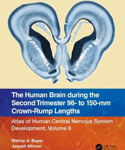 The Human Brain During The Second Trimester 96– To 150–Mm Crown-Rump Lengths: Atlas Of Human Central Nervous System Development, Volume 8 (EPUB)