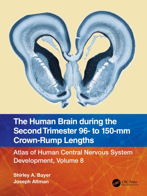 The Human Brain During The Second Trimester 96– To 150–Mm Crown-Rump Lengths: Atlas Of Human Central Nervous System Development, Volume 8 (EPUB)