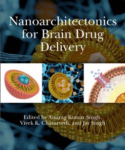 Nanoarchitectonics For Brain Drug Delivery (EPUB)