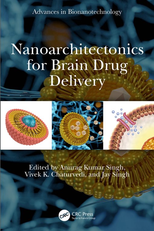 Nanoarchitectonics For Brain Drug Delivery (EPUB)