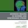 Neuroimaging Clinics of North America PDF