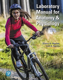 Laboratory Manual For Anatomy & Physiology, 7th Edition (PDF)