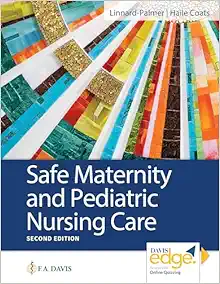 Safe Maternity & Pediatric Nursing Care, 2nd Edition (EPUB)