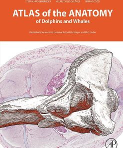 Atlas Of The Anatomy Of Dolphins And Whales (EPUB)