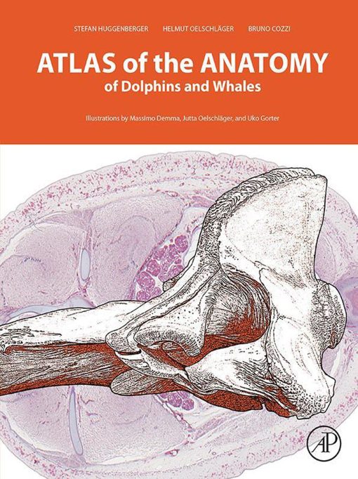 Atlas Of The Anatomy Of Dolphins And Whales (EPUB)