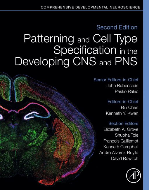 Patterning And Cell Type Specification In The Developing CNS And PNS: Comprehensive Developmental Neuroscience, 2nd Edition (EPUB)