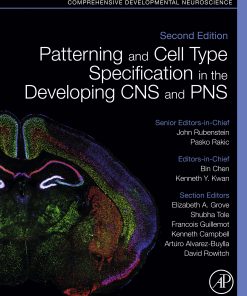 Patterning And Cell Type Specification In The Developing CNS And PNS: Comprehensive Developmental Neuroscience, 2nd Edition (PDF)