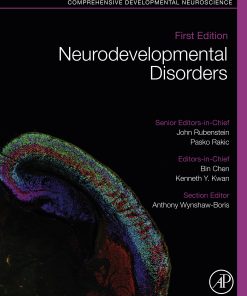 Neurodevelopmental Disorders: Comprehensive Developmental Neuroscience (EPUB)