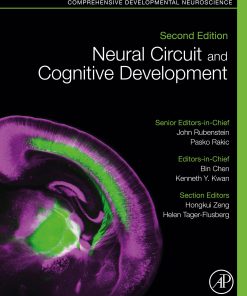 Neural Circuit And Cognitive Development: Comprehensive Developmental Neuroscience, 2nd Edition (EPUB)