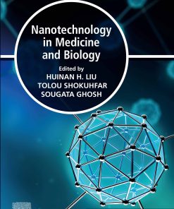 Nanotechnology In Medicine And Biology (EPUB)