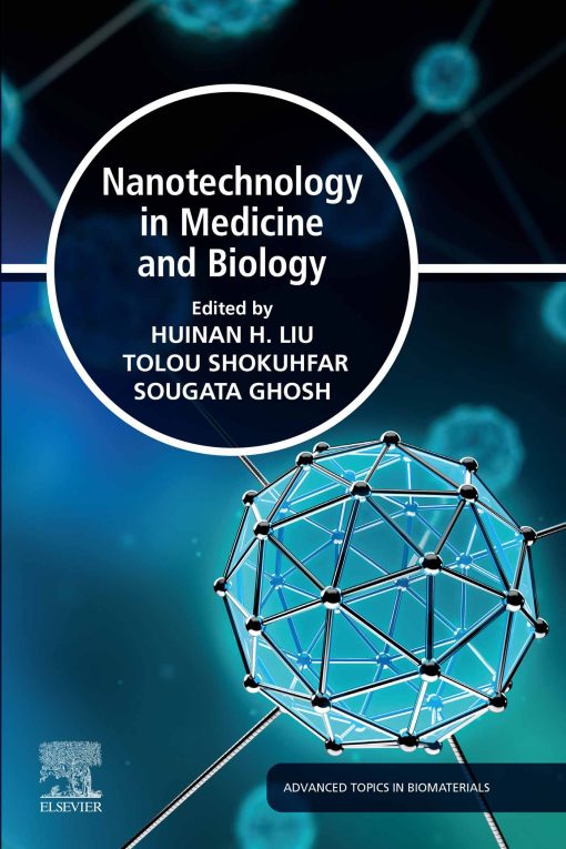 Nanotechnology In Medicine And Biology (EPUB)