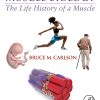 Muscle Biology: The Life History Of A Muscle (PDF)