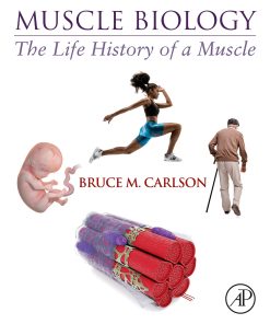 Muscle Biology: The Life History Of A Muscle (PDF)