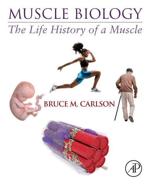 Muscle Biology: The Life History Of A Muscle (PDF)